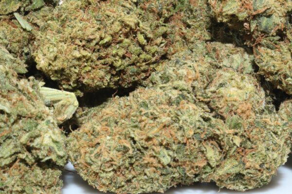 Sour Candy Kush Hemp Flower