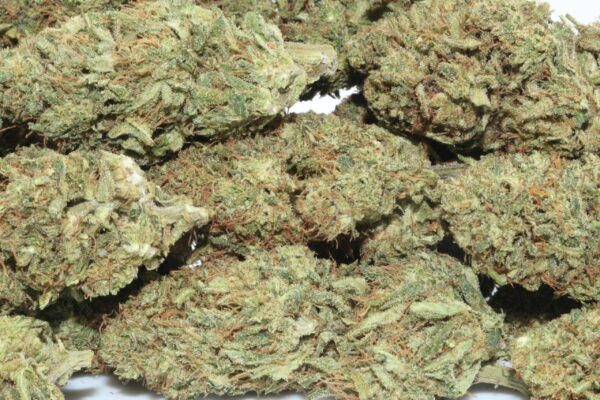 Sour Hawaiian Haze Hemp Flower