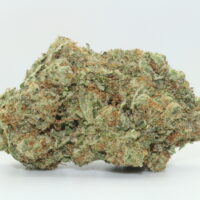 Sunset Sherbet THCA Hemp Flower