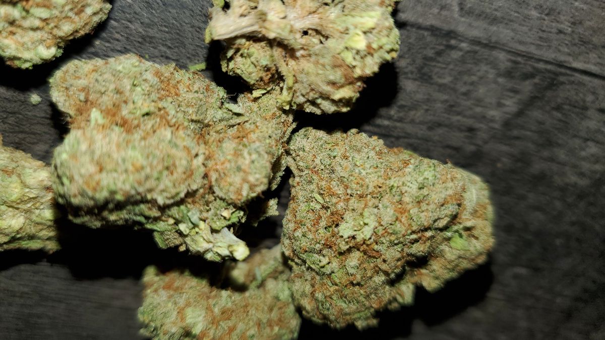 Image #4 from Gary K.