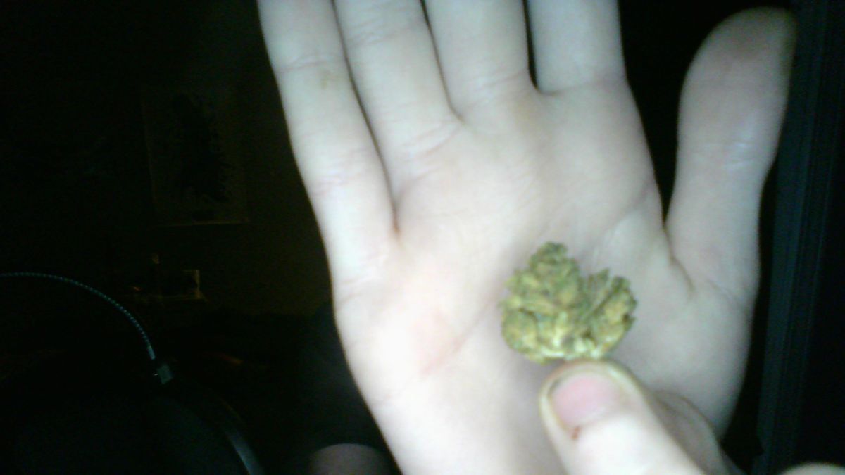 Image #2 from Dr.Ganja Customer
