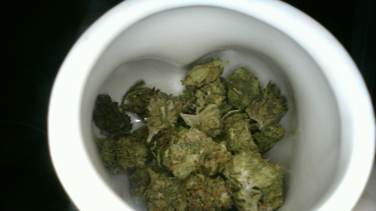 Image #1 from Dr.Ganja Customer