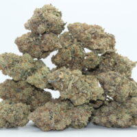 Animal Mints THCA Flower