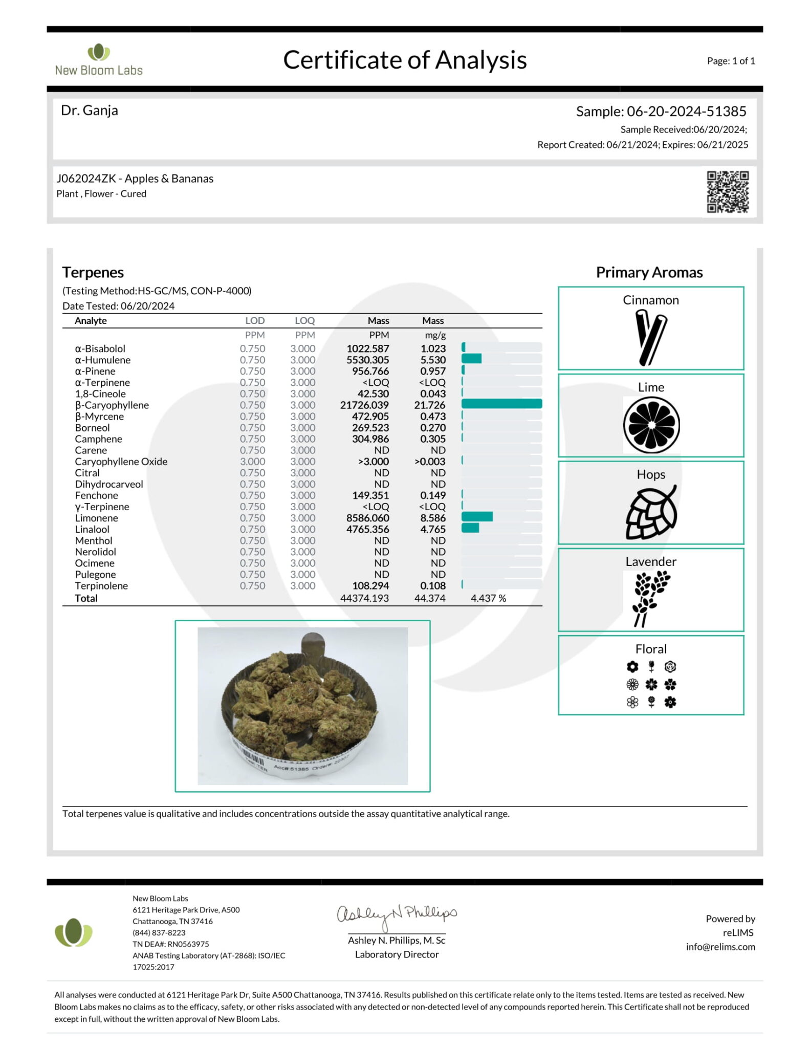 Apples & Bananas Dr.Ganja