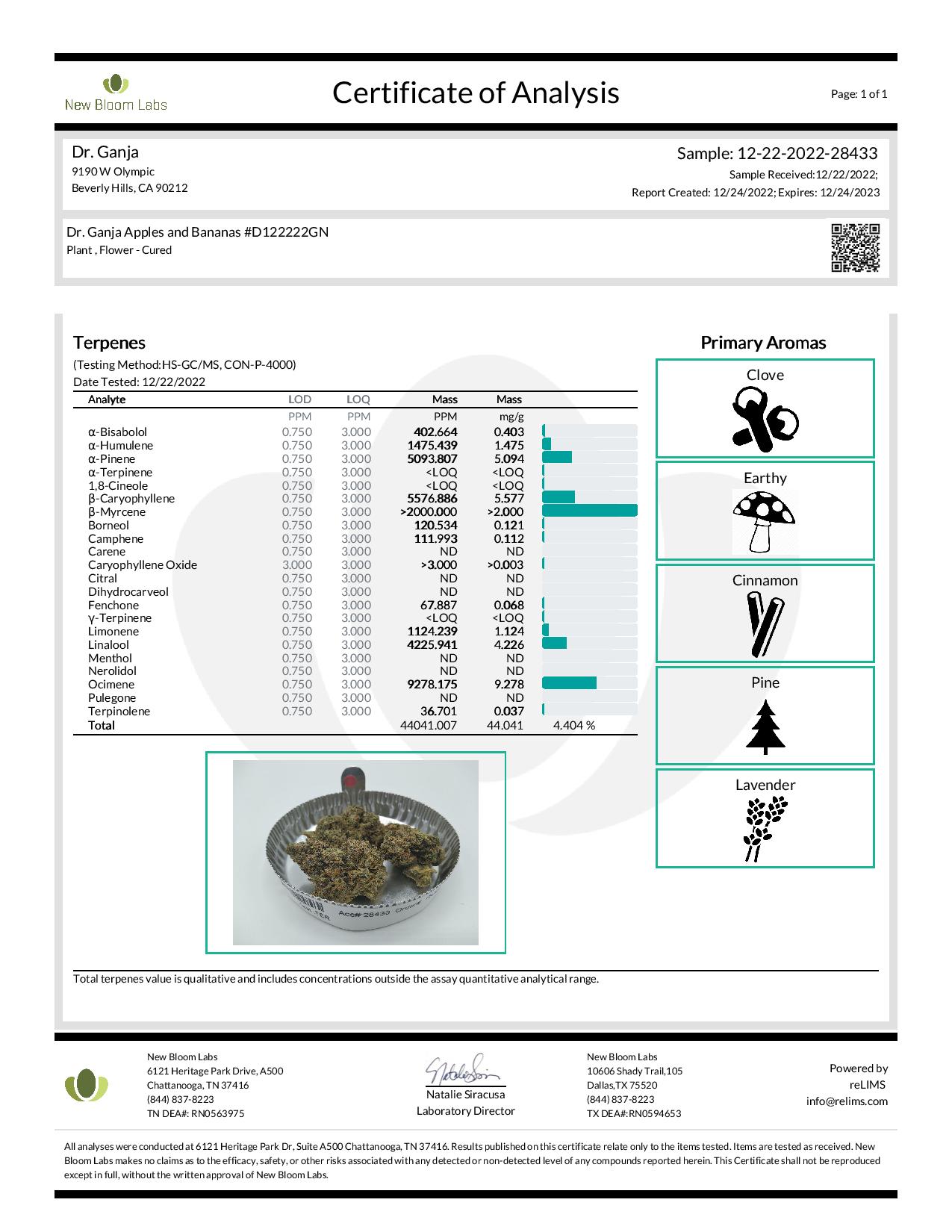 Apples and Bananas Dr.Ganja