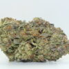 Girl Scout Cookies THCA Hemp Flower