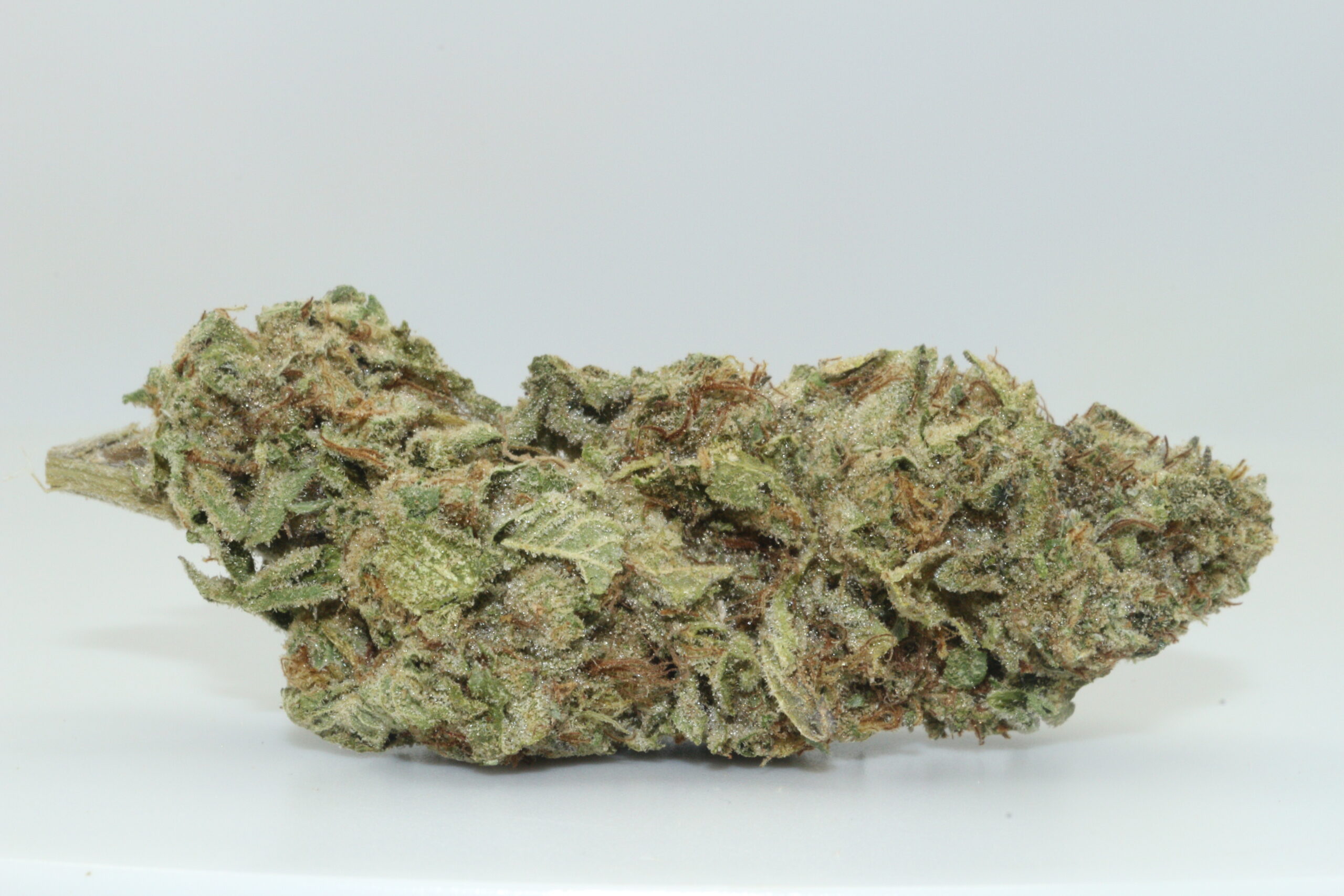 Girl Scout Cookies THCA Hemp Flower Girl Scout Cookies THCA Hemp Flower