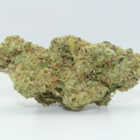 Girl Scout Cookies THCA Hemp Flower