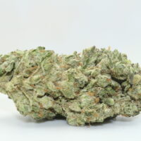 Gush Mints THCA Hemp Flower