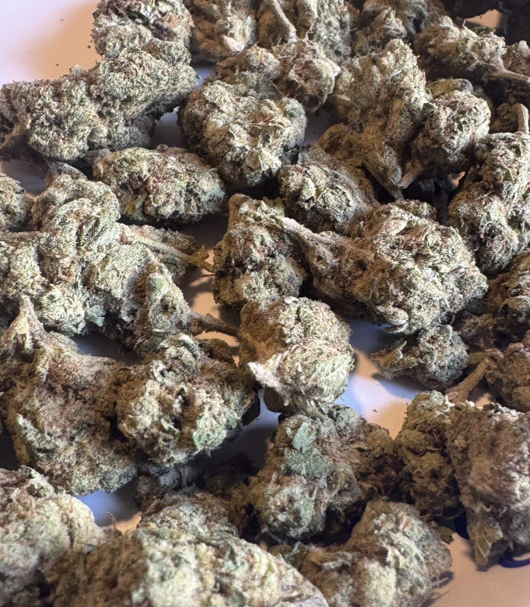 Image #3 from Blake Griffin