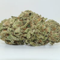 Ice Cream Cake THCA Hemp Flower