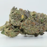 Ice Cream Cake THCA Hemp Flower