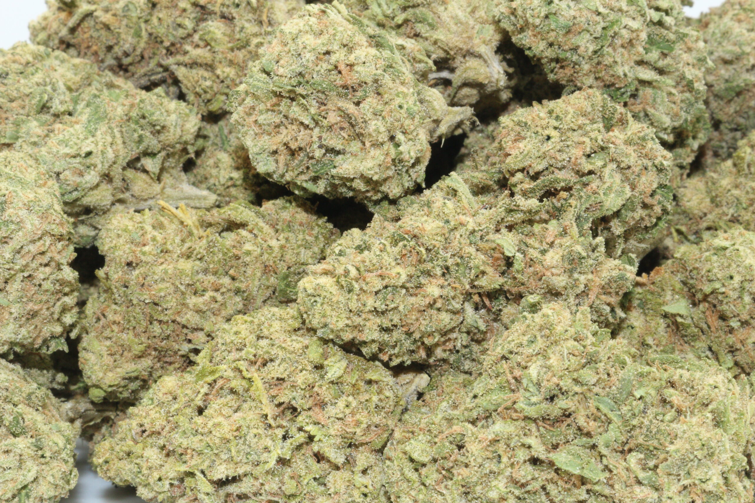 Jager Kush Hemp Flower