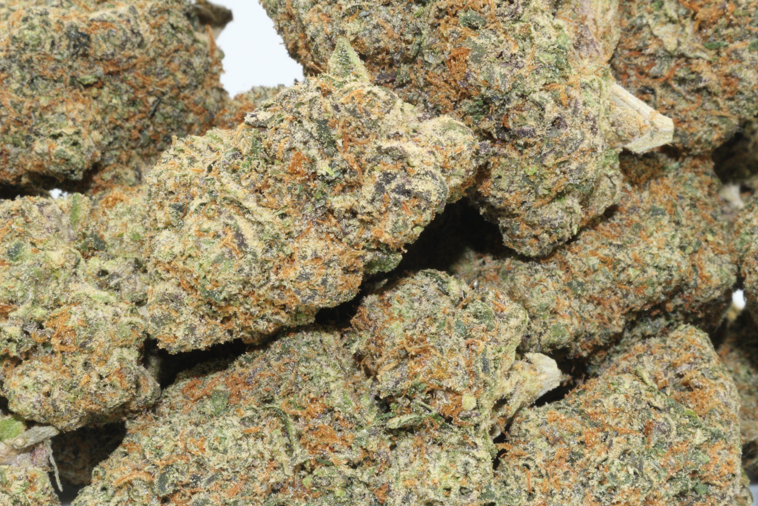 Miracle Cookies THCA Hemp Flower