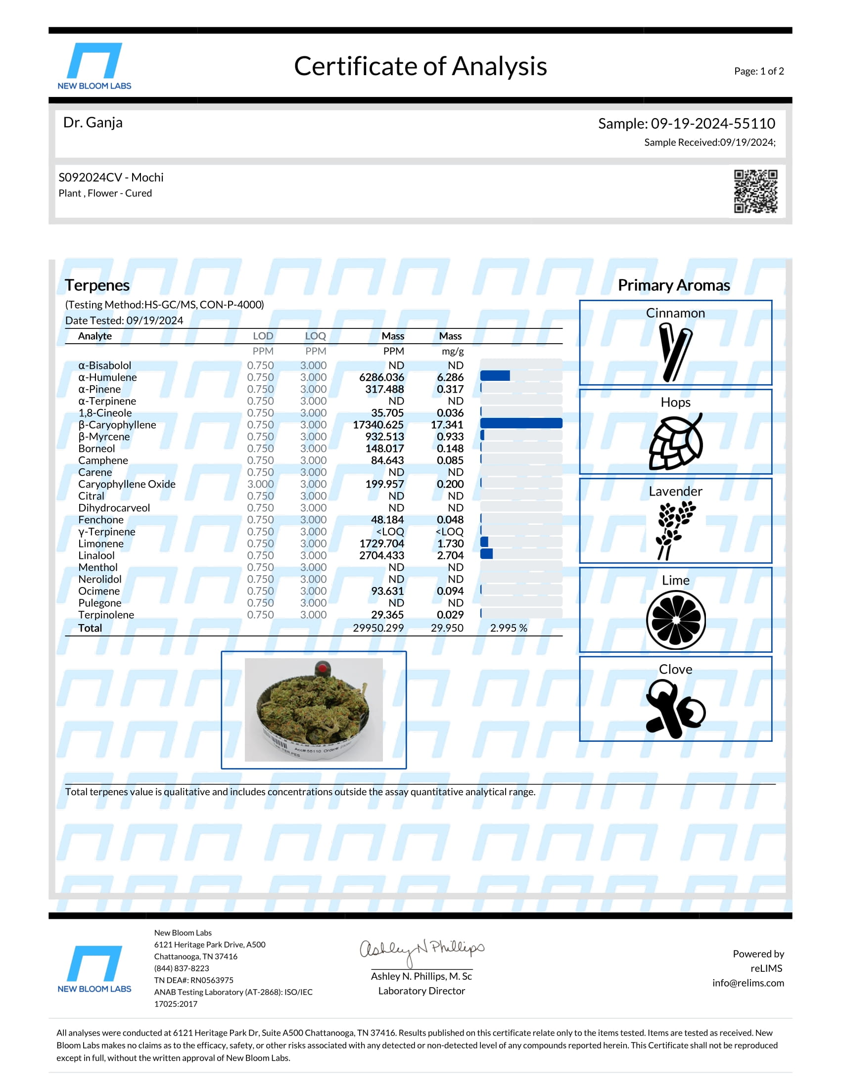 Mochi Terpenes Certificate of Analysis