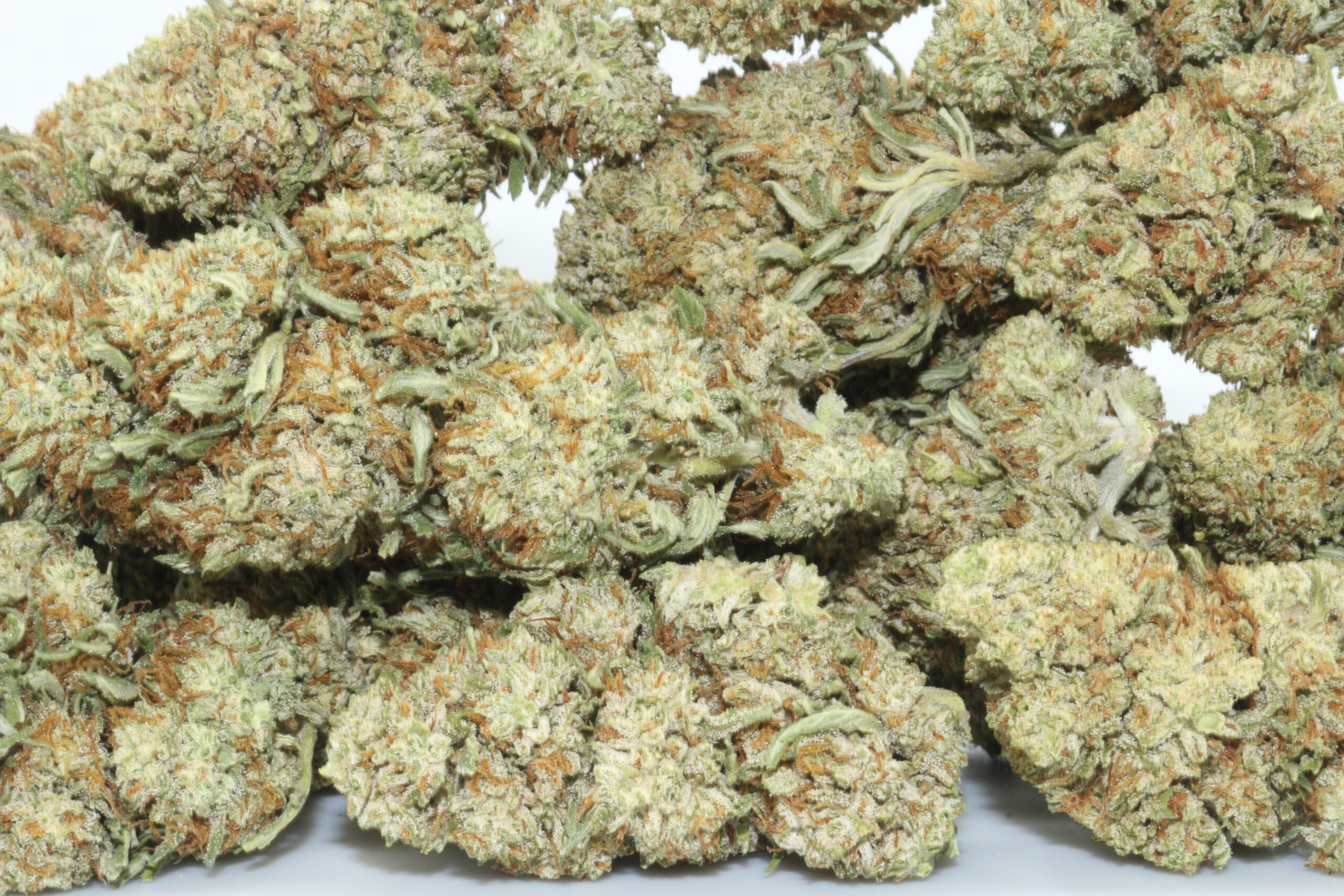 Sunset Hemp Flower Sunset Hemp Flower