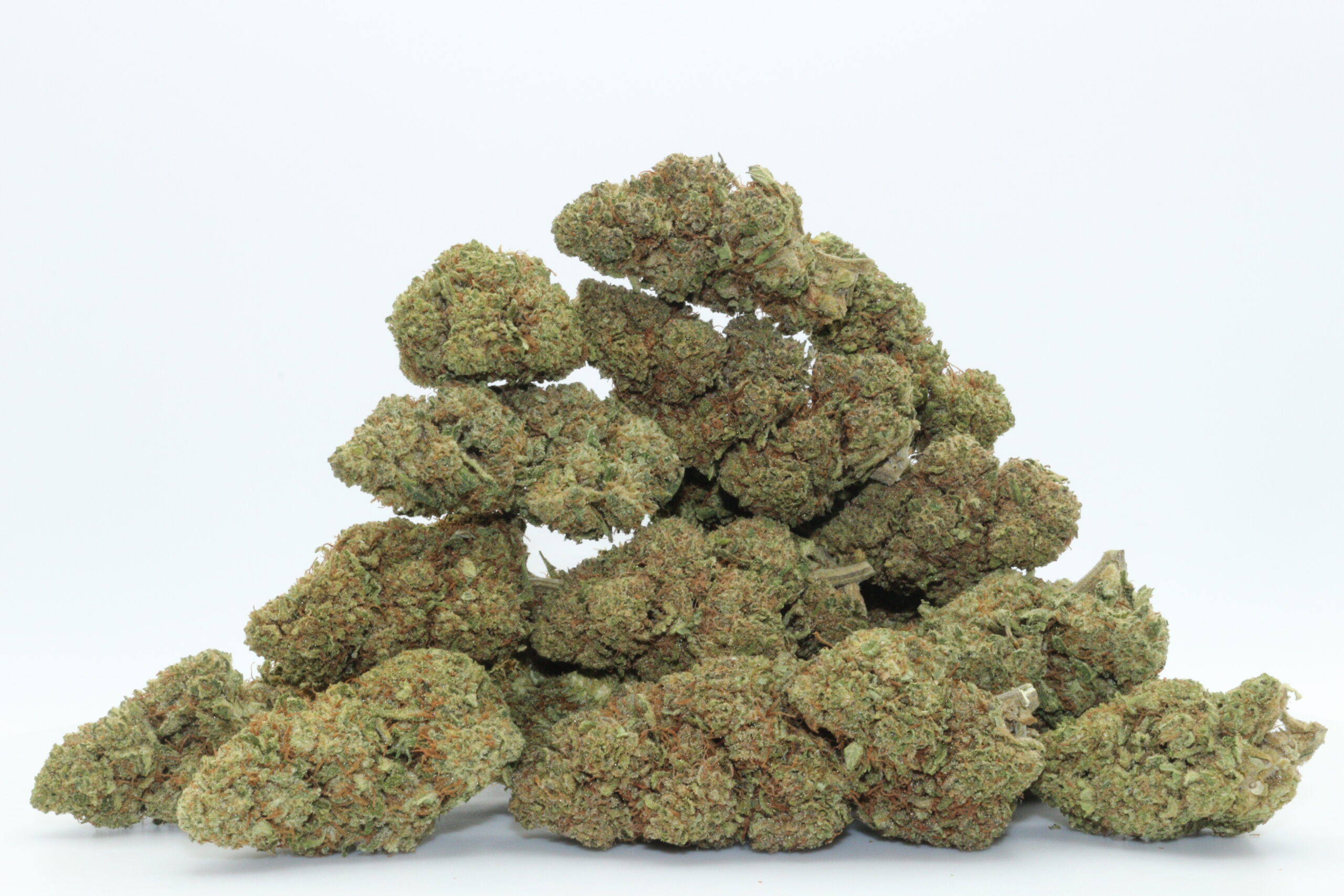 Tangy Haze CBD Flower Tangy Haze CBD Flower