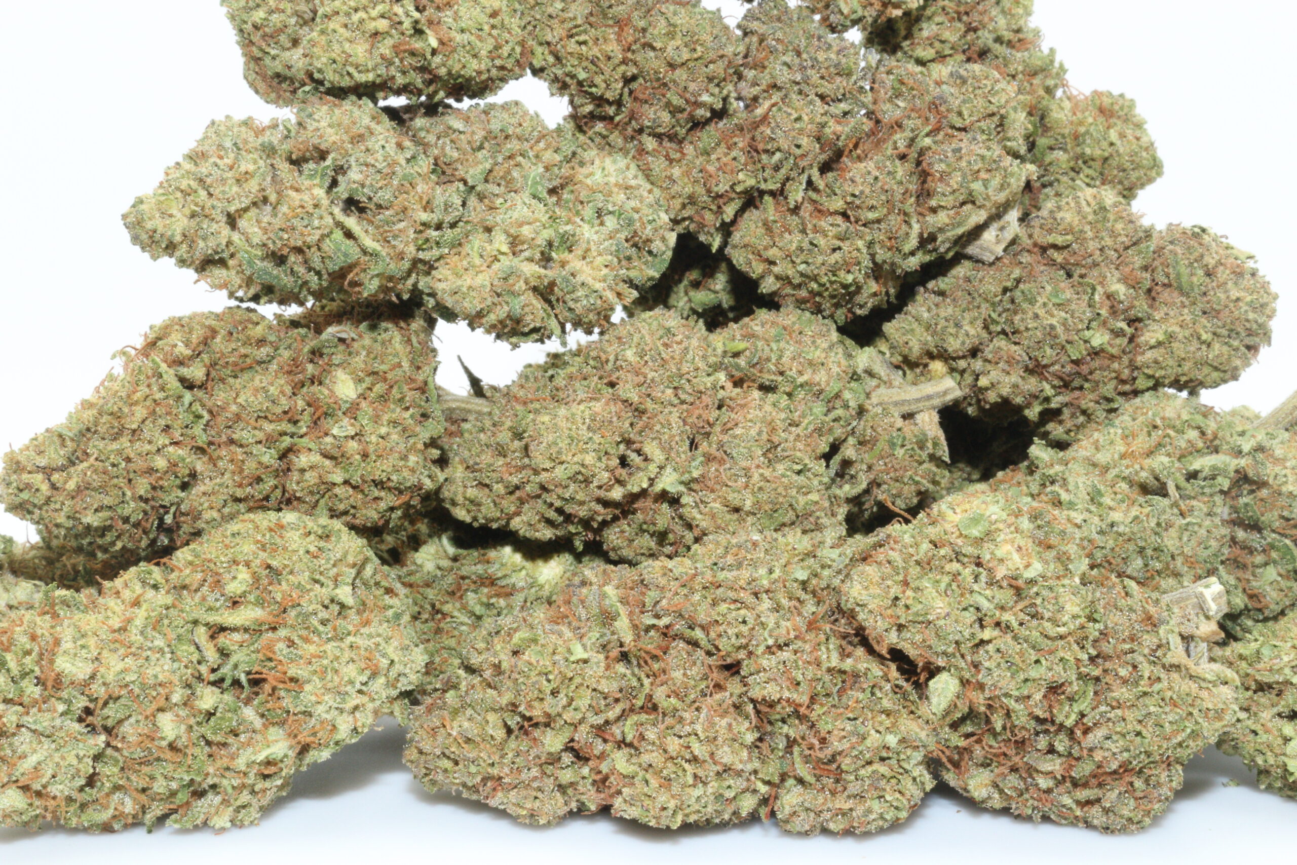 Tangy Haze Hemp Flower Tangy Haze Hemp Flower