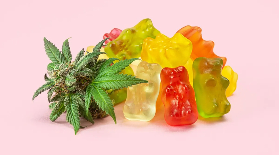 Top 10 Best CBG Gummies In 2022