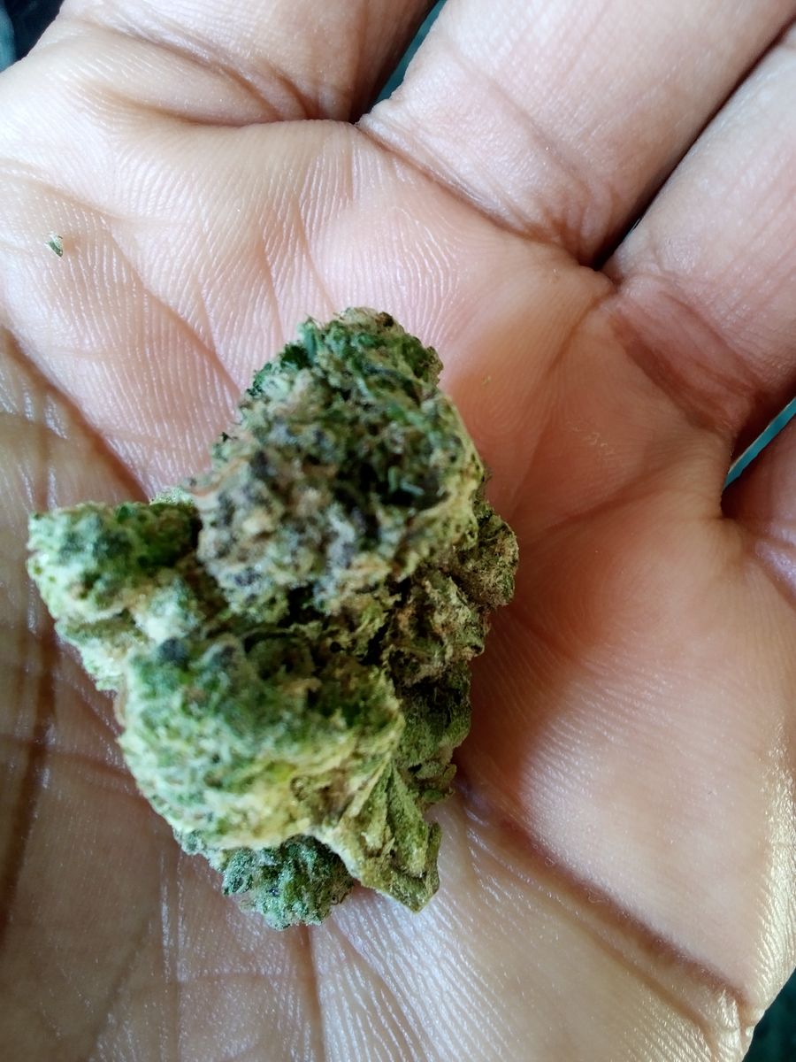 Image #5 from Dr.Ganja Customer