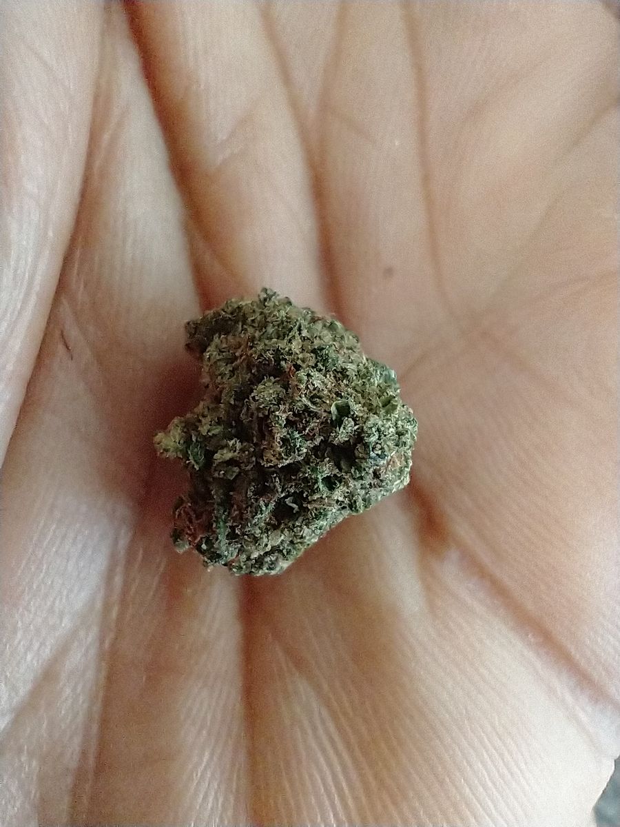 Image #1 from Dr.Ganja Customer