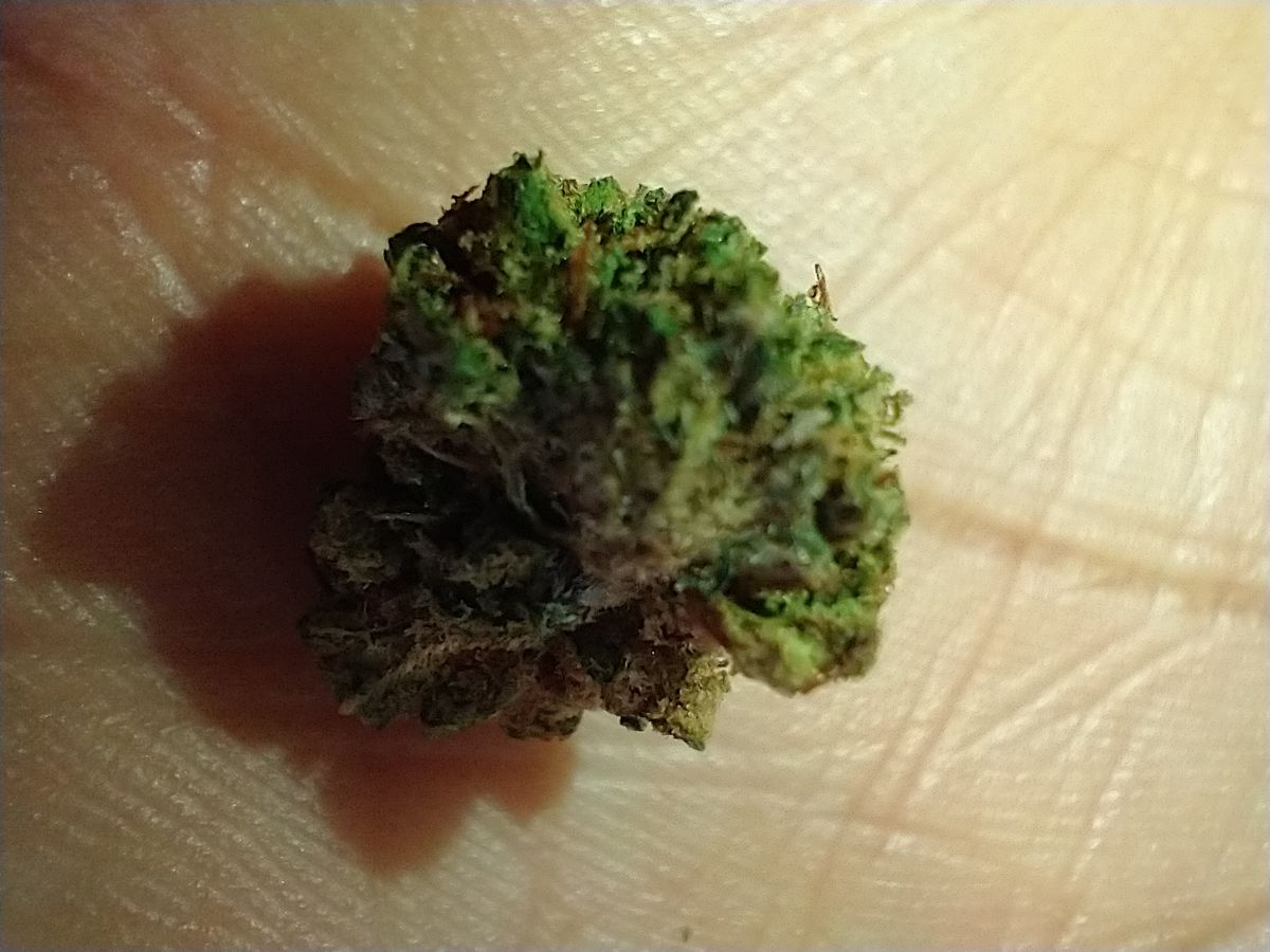 Image #4 from Dr.Ganja Customer