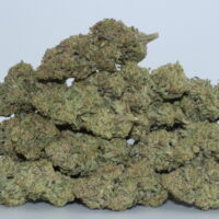 Alien Cookies