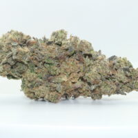 Birthday Cake THCA Hemp Flower