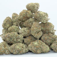 Blueberry Pancakes THCA Flower