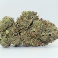 Gelato THCA Hemp Flower