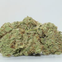 Gelato THCA Hemp Flower