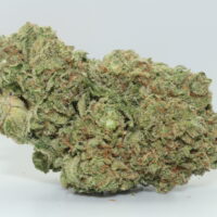 Gelato THCA Hemp Flower