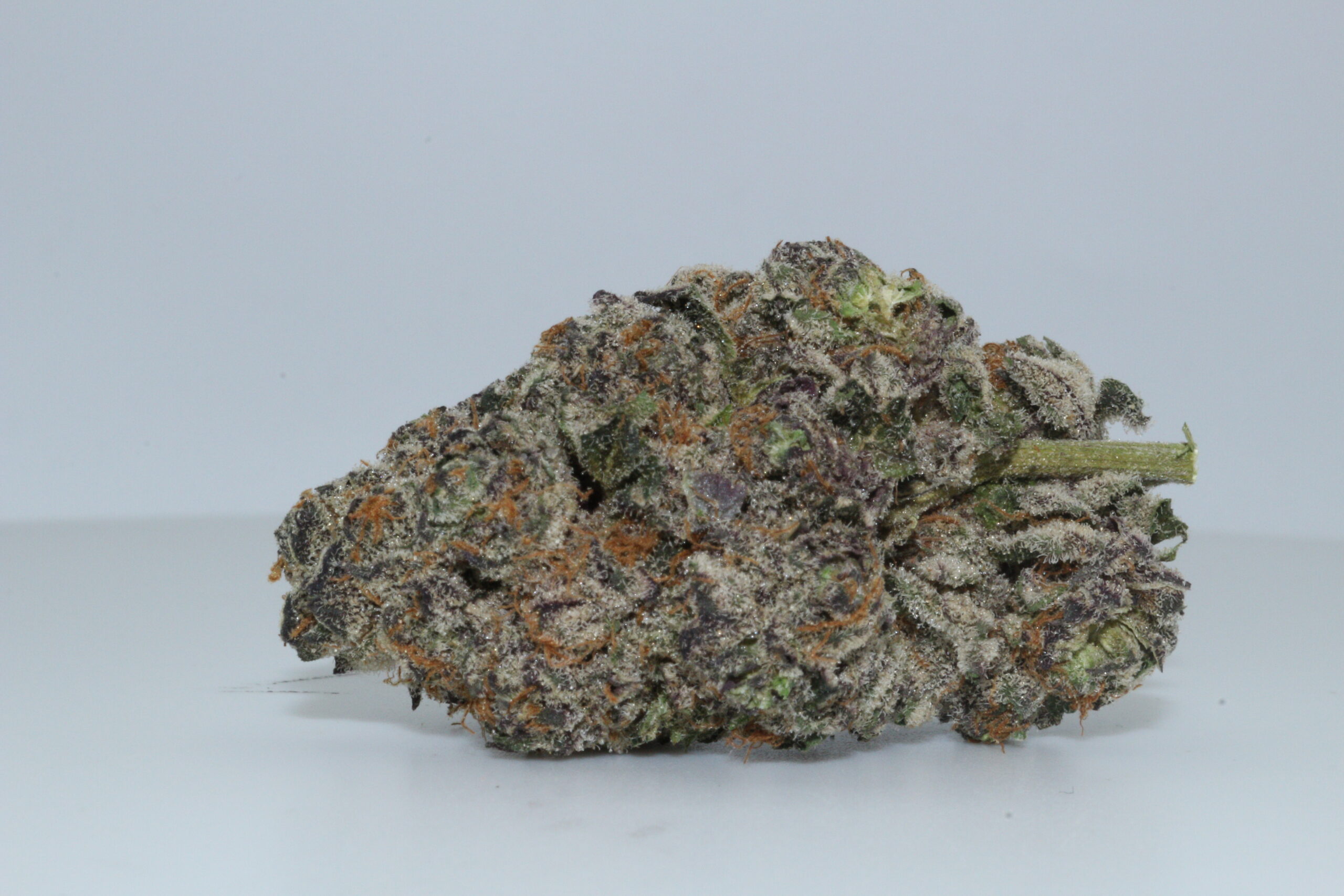 Mochi Gelato Hemp Flower Mochi Gelato Hemp Flower