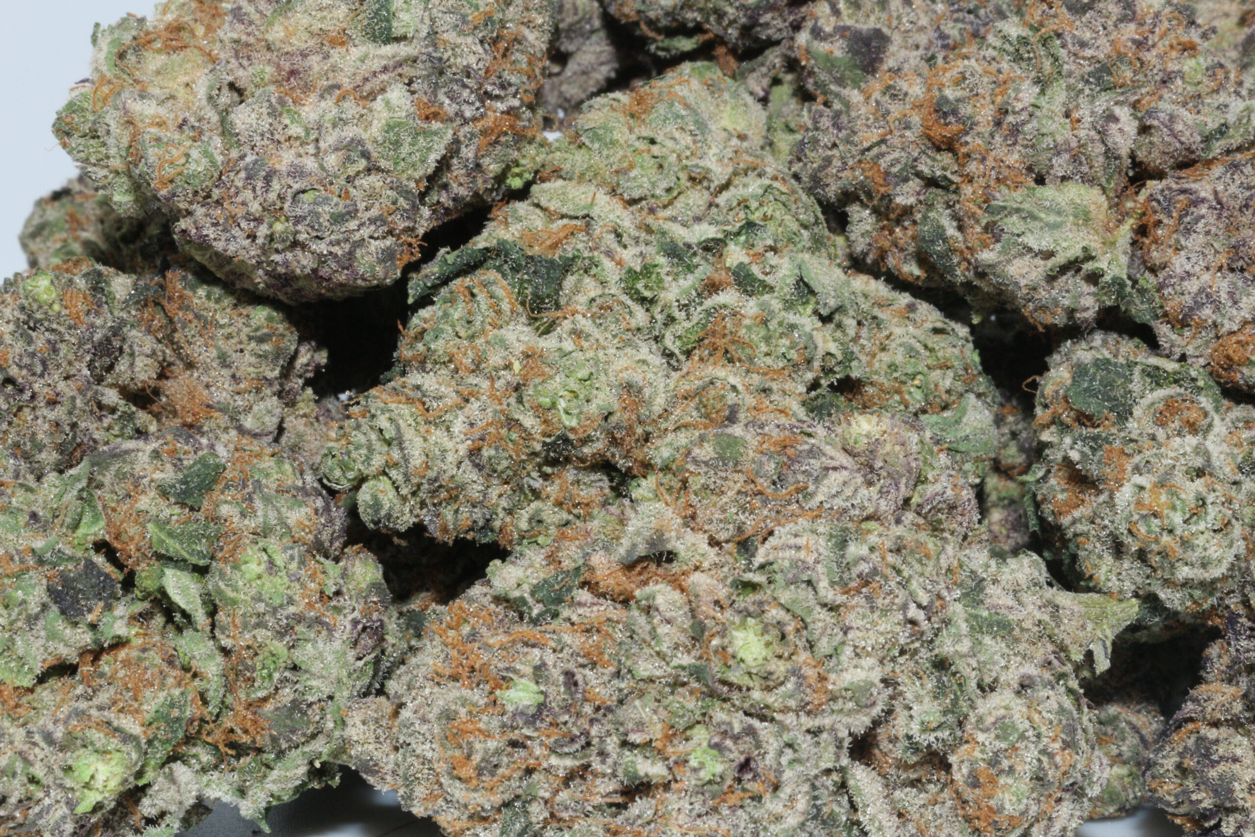 Mochi Gelato THCA Hemp Flower Mochi Gelato THCA Hemp Flower