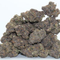 Sherbet THCA Flower