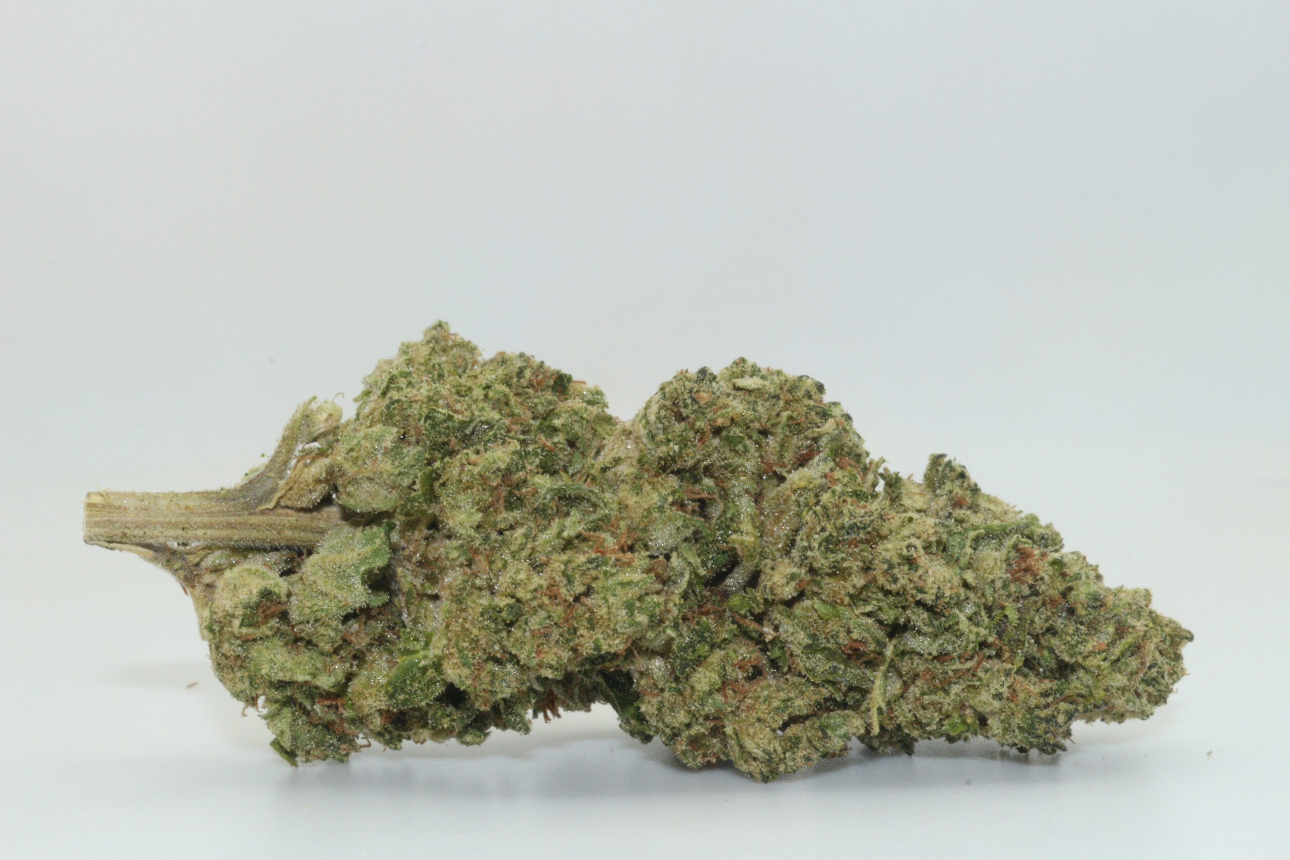 Super Glue THCA Hemp Flower Super Glue THCA Hemp Flower