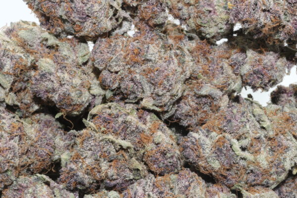 Tropical Cherry Hemp Flower