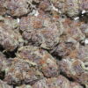 Tropical Cherry Hemp Flower