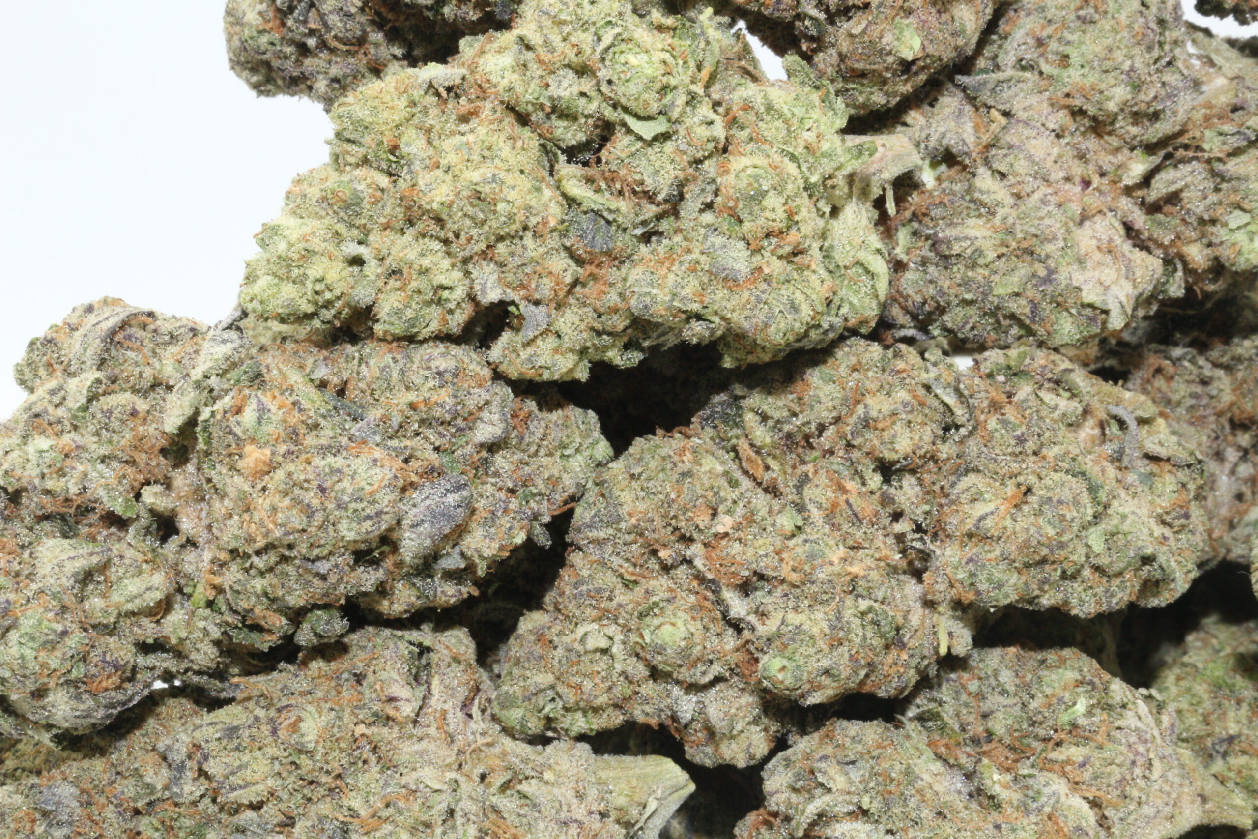 Wedding Crasher Hemp Flower Wedding Crasher Hemp Flower