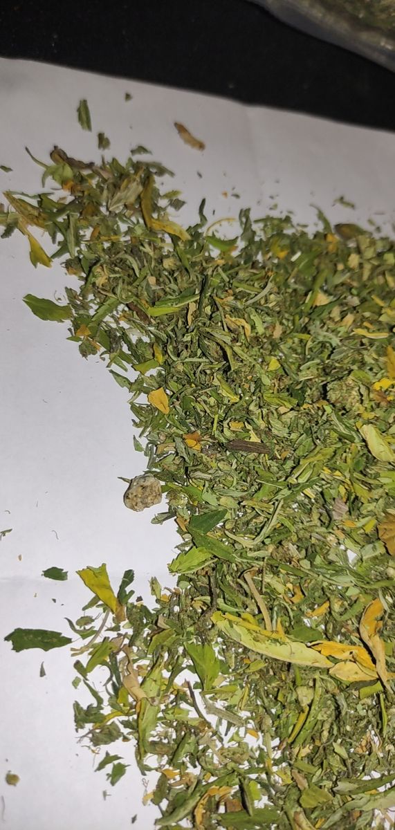Image #1 from Dr.Ganja Customer