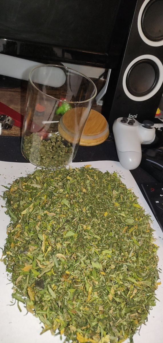 Image #2 from Dr.Ganja Customer