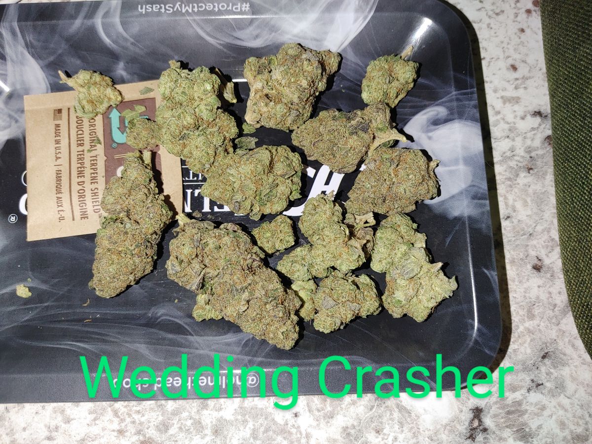 Image #1 from Dr.Ganja Customer