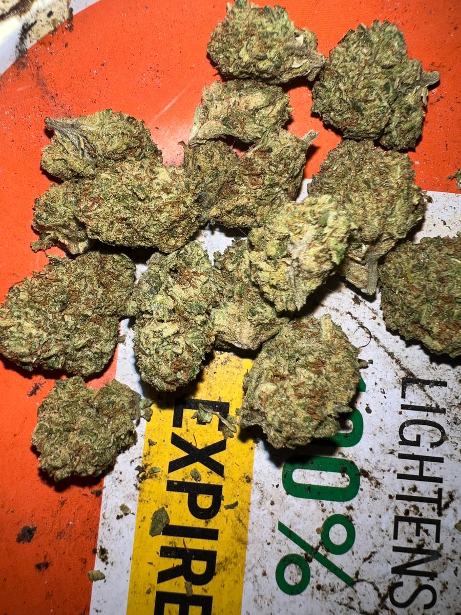 Image #7 from Dr.Ganja Customer