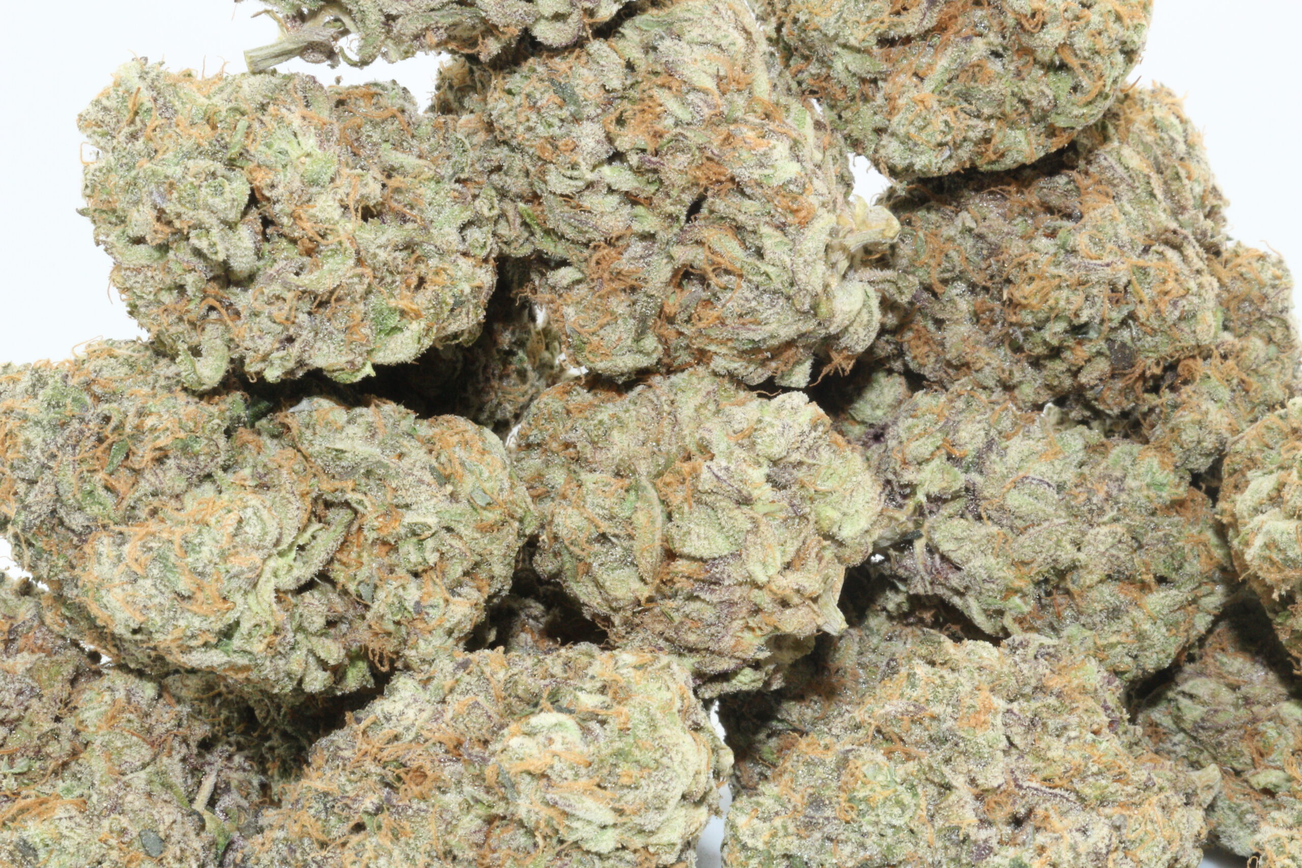 Blue Coma Hemp Flower