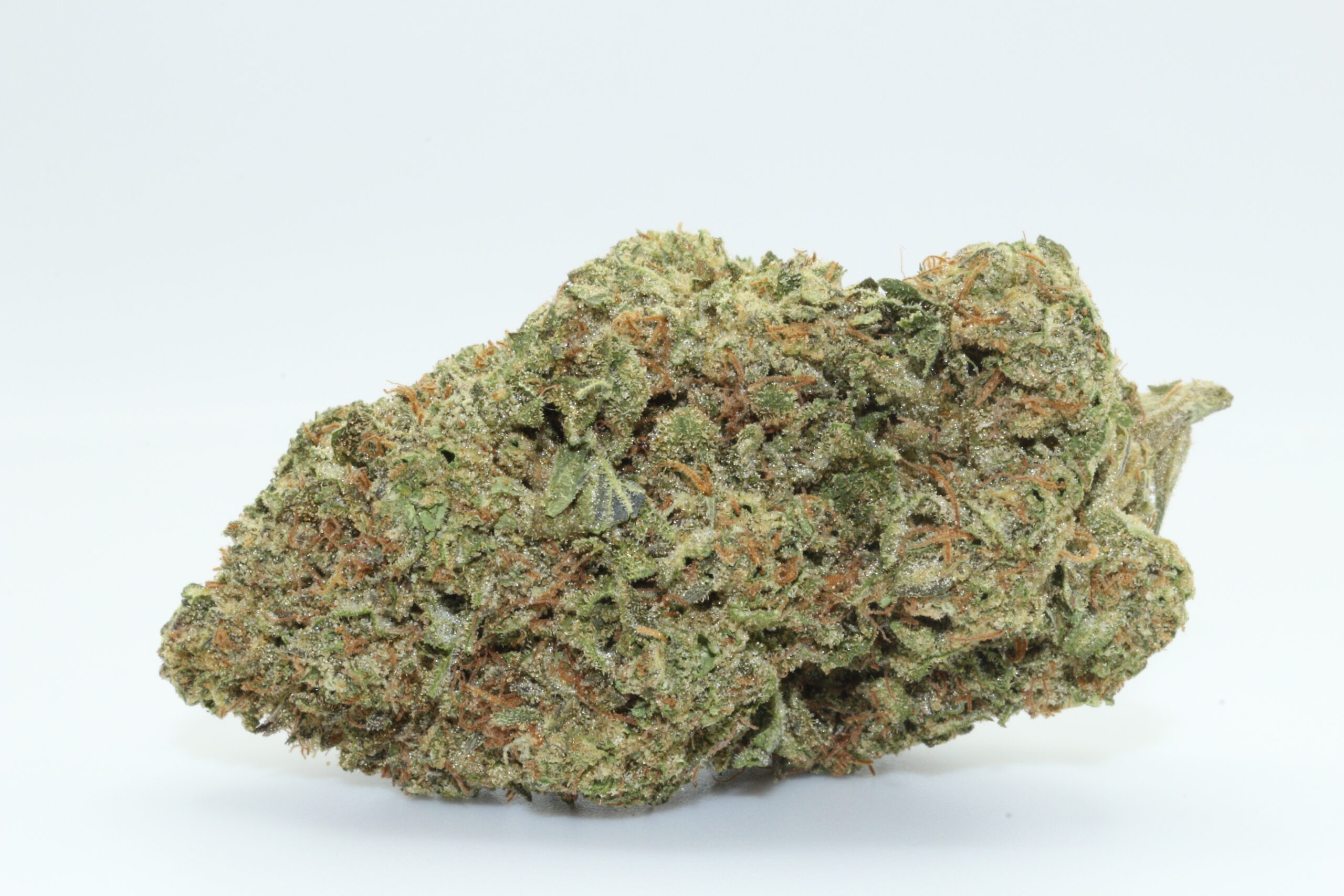 Candy Kush Dr Ganja candy-kush-dr-ganja