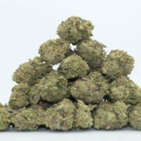 Gary Payton THCA Flower
