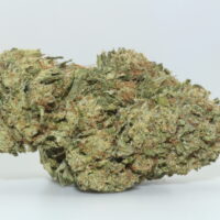Gary Payton THCA Hemp Flower