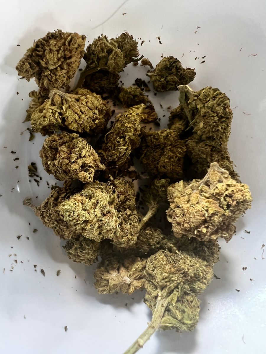 Image #1 from Dr.Ganja Customer