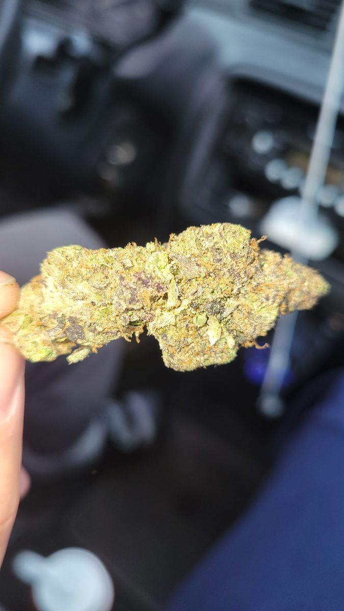 Image #1 from Dr.Ganja Customer