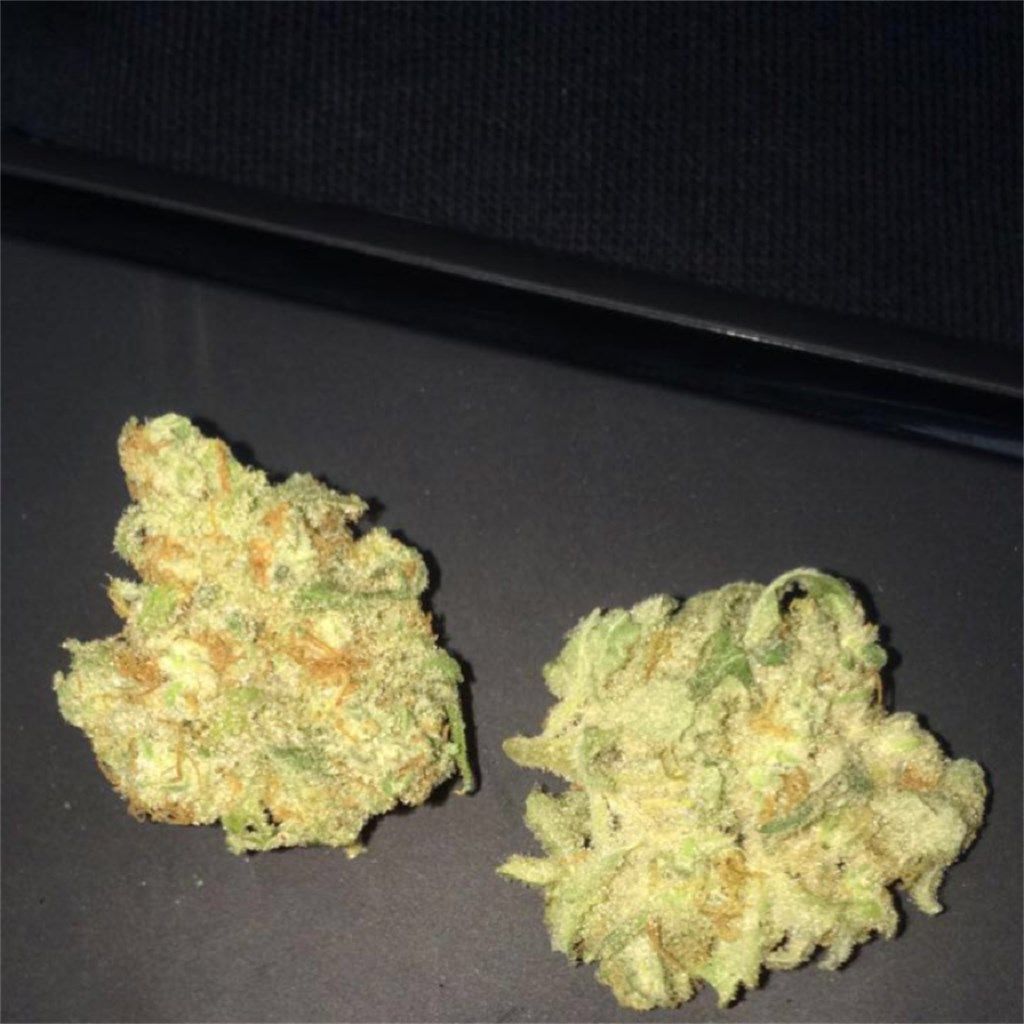 Image #1 from Dr.Ganja Customer